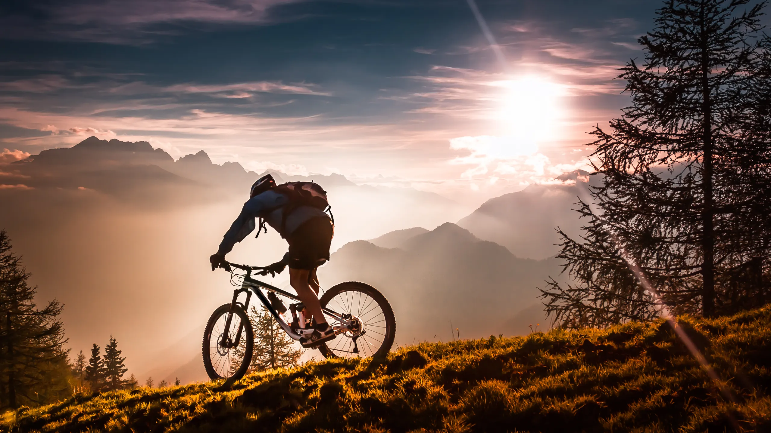 Ciclismo de Montaña en las Barrancas del Cobre: Aventura y Naturaleza en Chihuahua