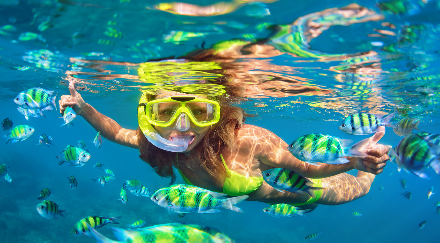 Snorkel en Banco Chinchorro: Explora Naufragios y Arrecifes Submarinos