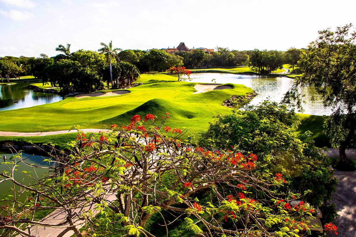 Golf en Riviera Maya: Enfrenta el Desafío del Hard Rock Golf Club