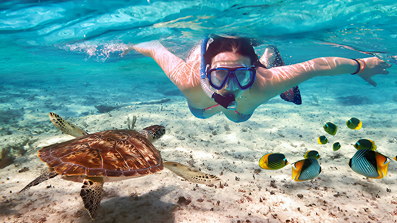 Snorkel en Isla Mujeres: Explora el Fascinante Mundo Submarino